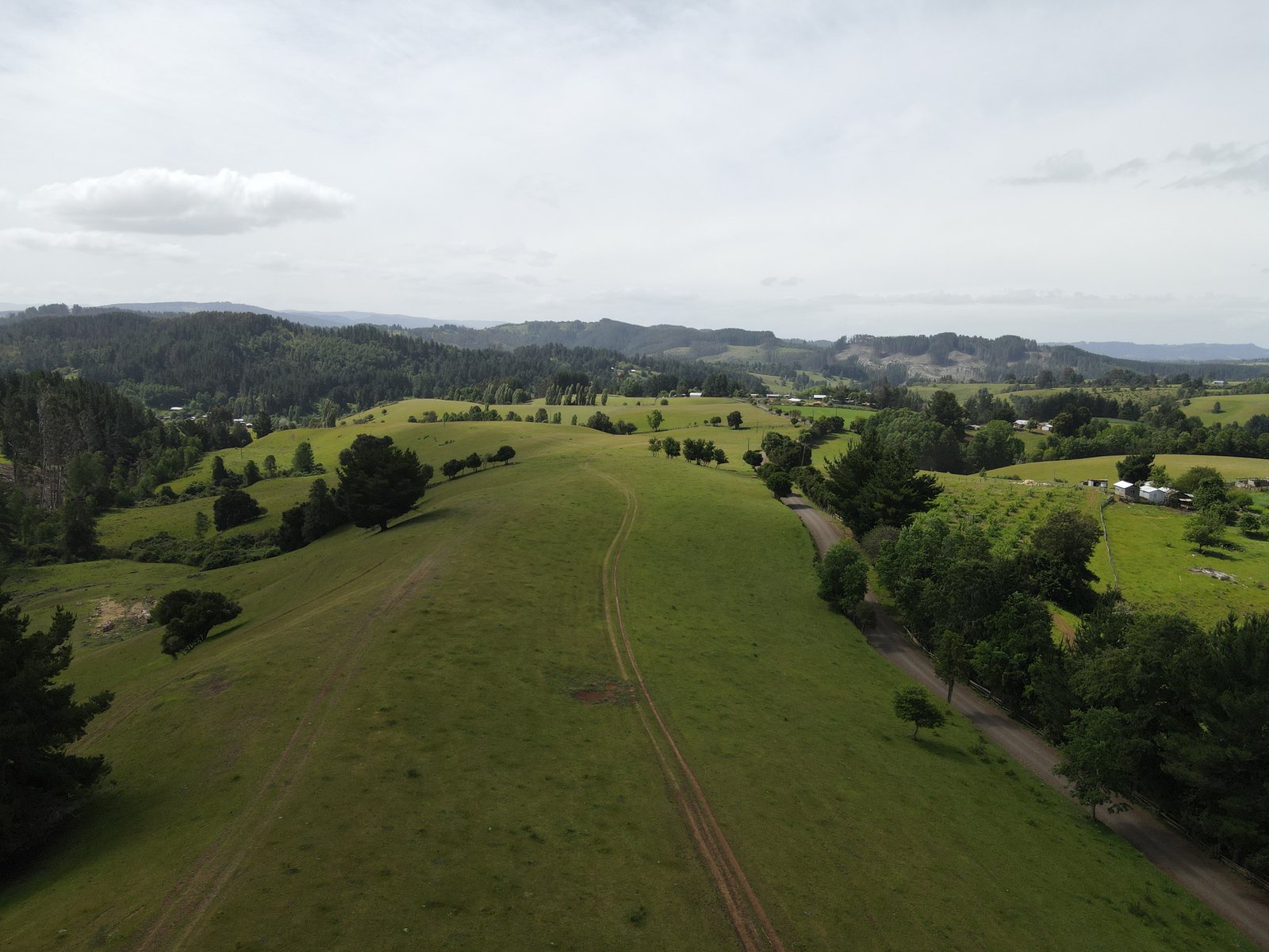 Paisaje Natural
