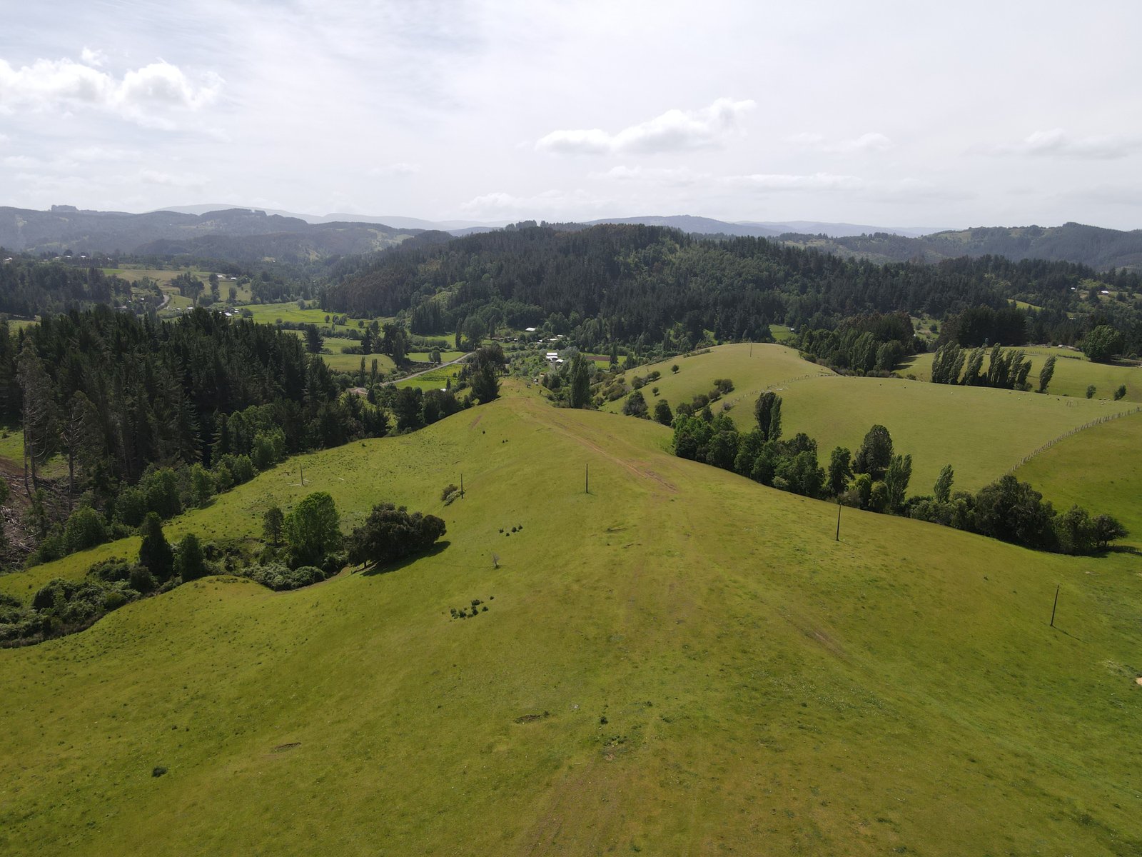 Vista de Altos de Osorno